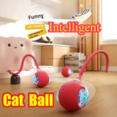 Bouncetug Play Ball Interactive Pet Toy